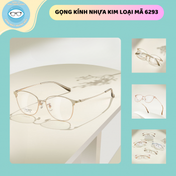 Gọng kim loại mã 6293